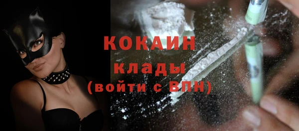 шишки Краснотурьинск