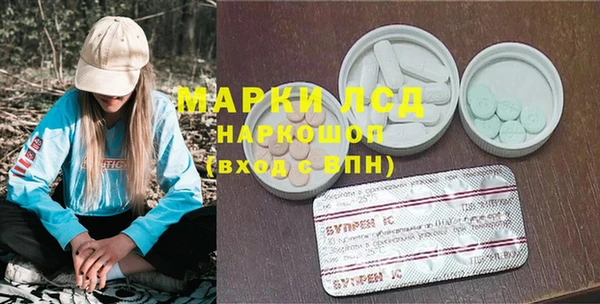 шишки Краснотурьинск
