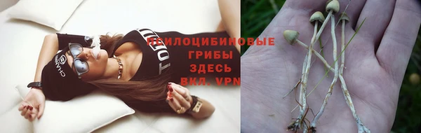 шишки Краснотурьинск
